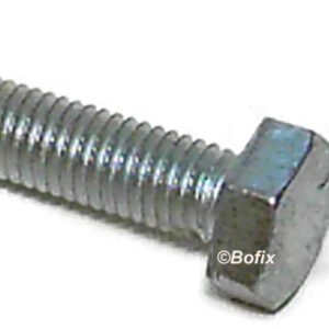 BOUT ZESKANTE KOP M3x30 mm (P.50)