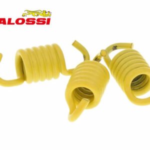 Trekveerset Malossi MHR Racing 1,8mm | Fly / Delta Clutch