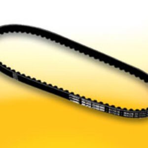 V-snaar Malossi | Minarelli 2T