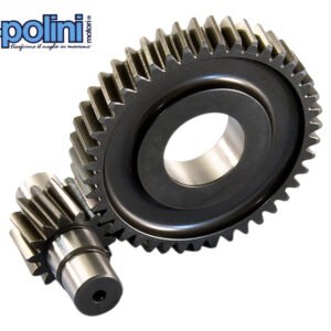 Secundaire Overbrenging Polini 14/43 | Piaggio 4T