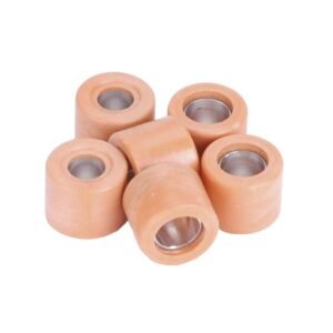 Variateurrolset LeoVince 19x15,5mm - 6,5gr