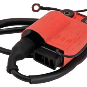 Centraline Imi | Piaggio 2T (-'98)