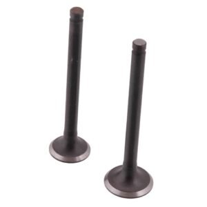 Kleppenset Inlaat / Uitlaat Kort | GY6 4T