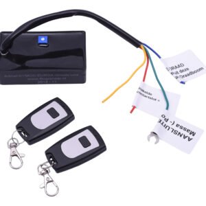 Eurobegrenzer met Afstandsbediening | Piaggio / Vespa 4T 4V